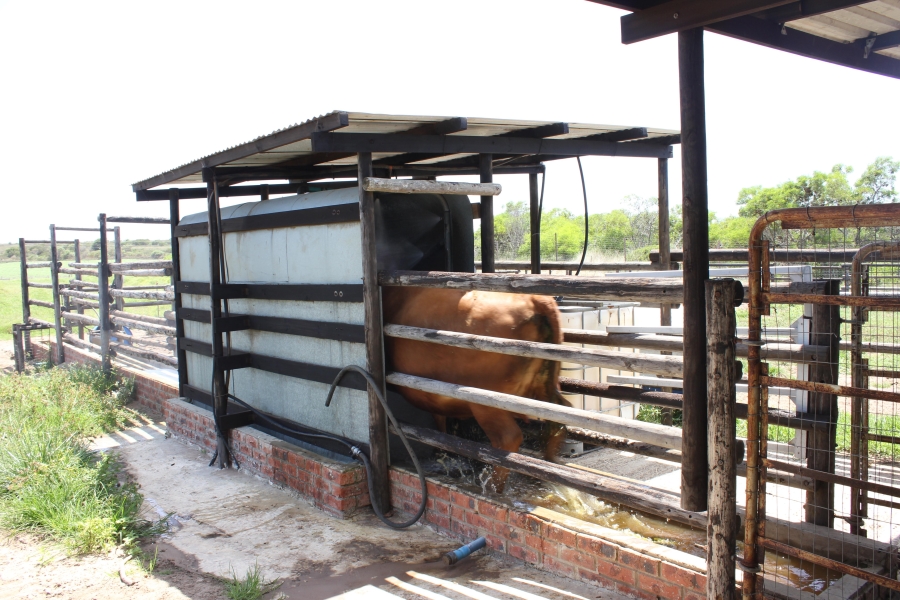 0 Bedroom Property for Sale in St Francis Bay Eastern Cape